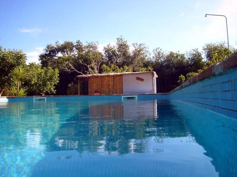 Monte Do Adail Turismo Rural Casa De Campo 米尔芳提斯城 外观 照片